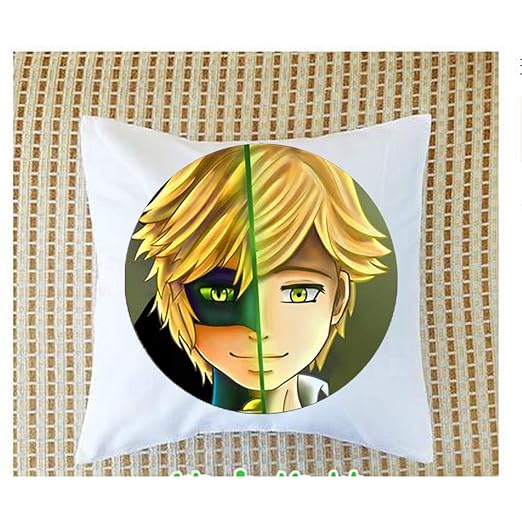 Arrival Magical Ladybug Adrien Marinette Lady Bug Cat Noir