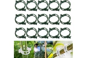 AIIONP 100 PCS Secured Plastic Plant Clip, Plant Support Clips, Garden Clips for Climbing Plants, Plastic Trellis Clips Plant Support Clips Tomato Grape Vine Vegetables Plant Fixing Clips (100, Green)