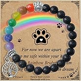 AgoumLux Pet Memorial Gifts, Sympathy Gift for Loss of Dogs and Cats, Chakra Rainbow Bridge Bracelet for Women Men Who Lost Pets