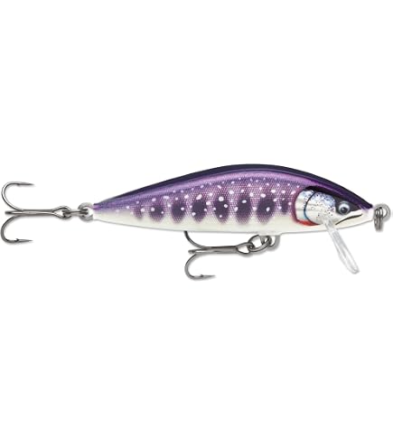Amazon.com : Rapala Countdown Elite 75 Gilded Hot Tiger : Sports