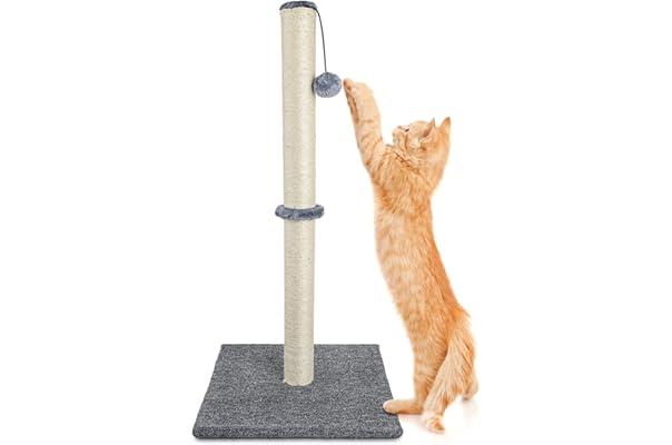 eco friendly cat scratching post