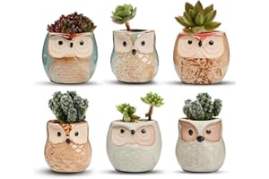 T4U 2.5 Inch Owl Ceramic Succulent Planter Pots with Drainage Hole Set of 6, Mini Cute Flower Pots Tiny Plant Holder Container Best for Home Office Garden Decoration Owl Gift Ideas