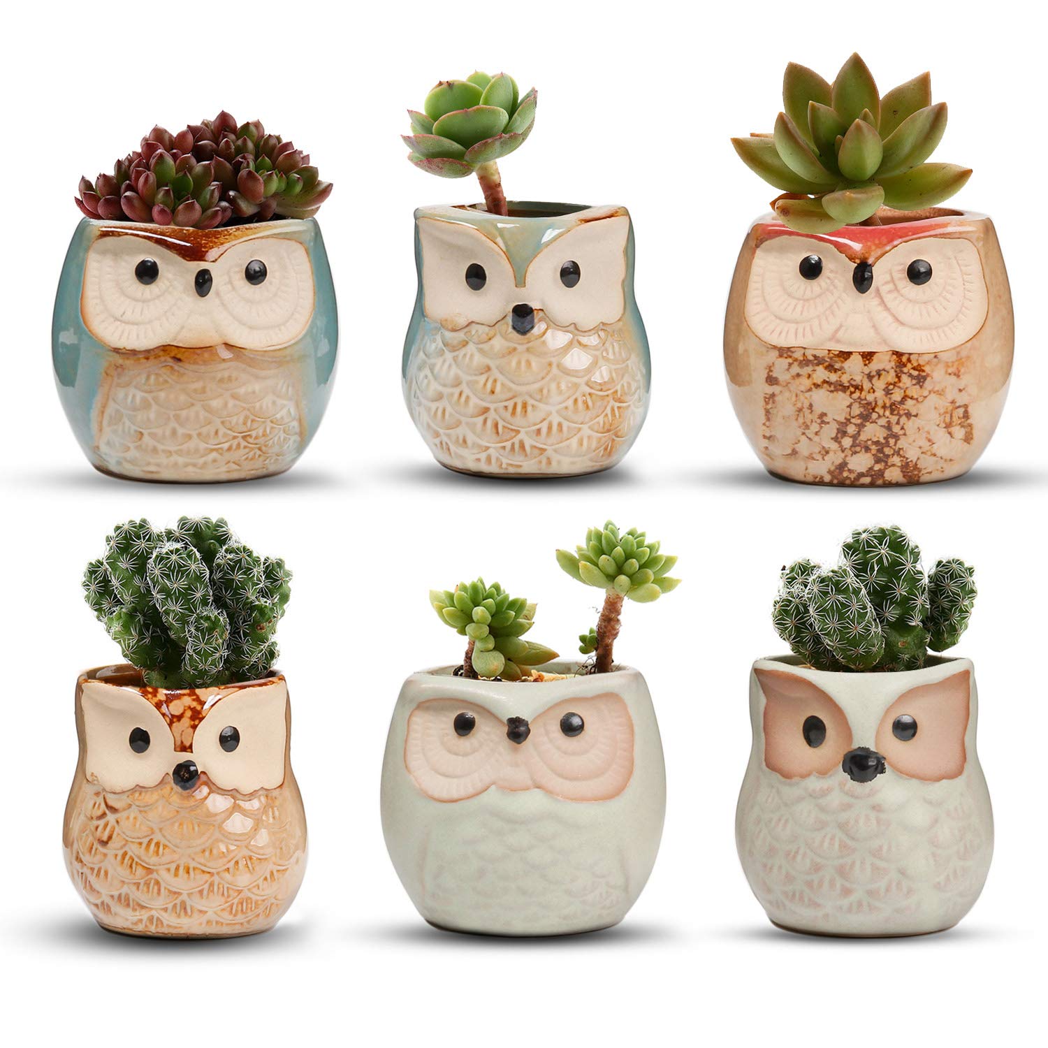 T4U 6CM Ceramic Succulent Planter Pots Mini Size Set of 6, Small Flower Plant Pots with Drainage Hole, Cute Owl Pots for Home Office Decoration, Desktop Windowsill Owl Gift for Gardener for Birthday
