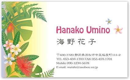 Amazon 片面カラー イラスト名刺 3346 ホワイト紙 30枚 名刺 印刷 作成 デザイン 制作 注文 名刺用紙 文房具 オフィス用品