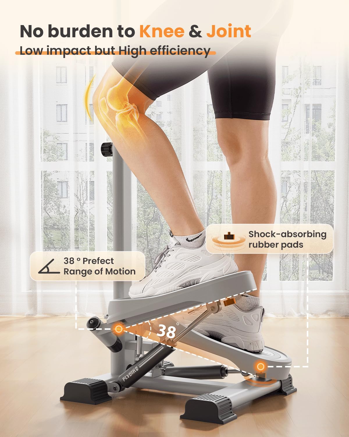 FLYBIRD Stepper with Handlebar, Stair Stepper for