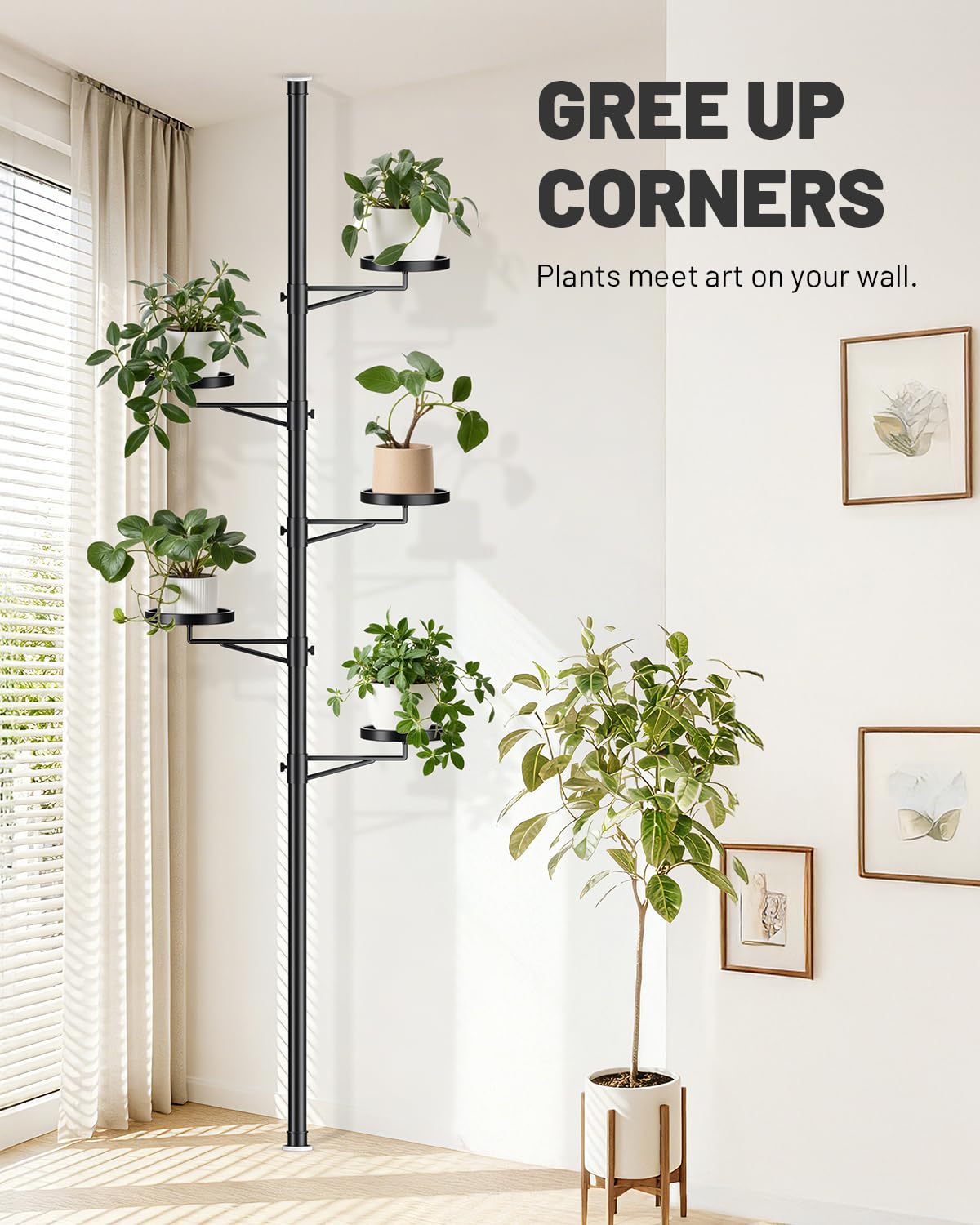 https://images-na.ssl-images-amazon.com/images/I/7191HVeKaLL.jpg