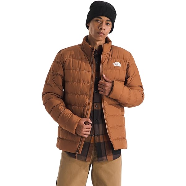 CONCEPT FACE PAINTER 8 ブラウン THE NORTH FACE Men's Apex Bionic 3 Jacket | Water & Wind Resistant