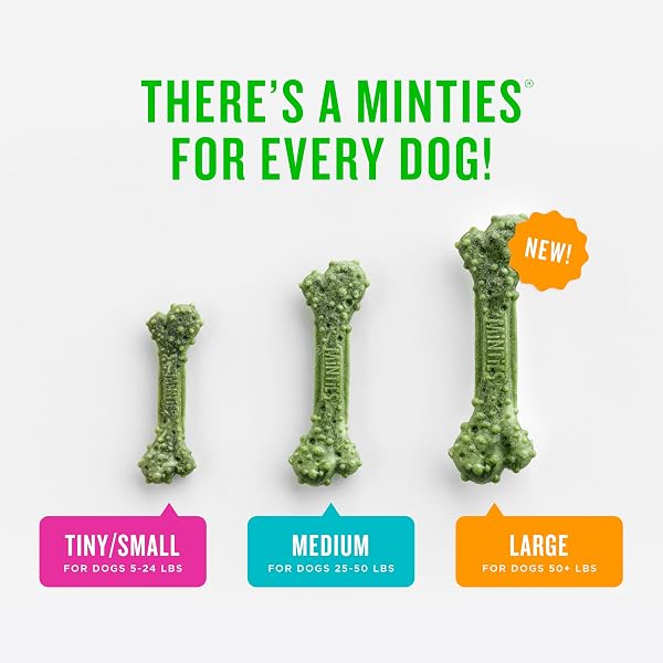 MINTIES DENTAL CHEWS FOR DOGS, 40 COUNT, VET-RECOMMENDED MINT-FLAVORED DENTAL DOG TREATS FOR MEDIUM DOGS, BONES CLEAN TEETH, FIGHT BAD BREATH, AND REMOVES PLAQUE AND TARTAR