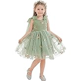 LalaMira Flower Girl Dress Floral Embroidered Toddler Girls Dresses Fairy Tulle Dress for Wedding Birthday Party Photo Shoot