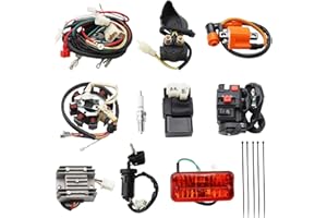 PRO BAT Complete Electrics 4 Stroke Wiring Harness Kit 8 Coil CDI Stator Tail Light for 150cc 200cc 250cc 300cc 4 Wheelers Stroke ATV Go Kart Quad Pit Dirt Bike Compatible with Zongshen Lifan YX