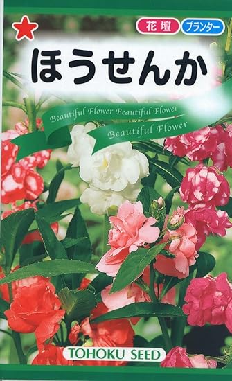 Amazon 株式会社トーホク ホウセンカ 花