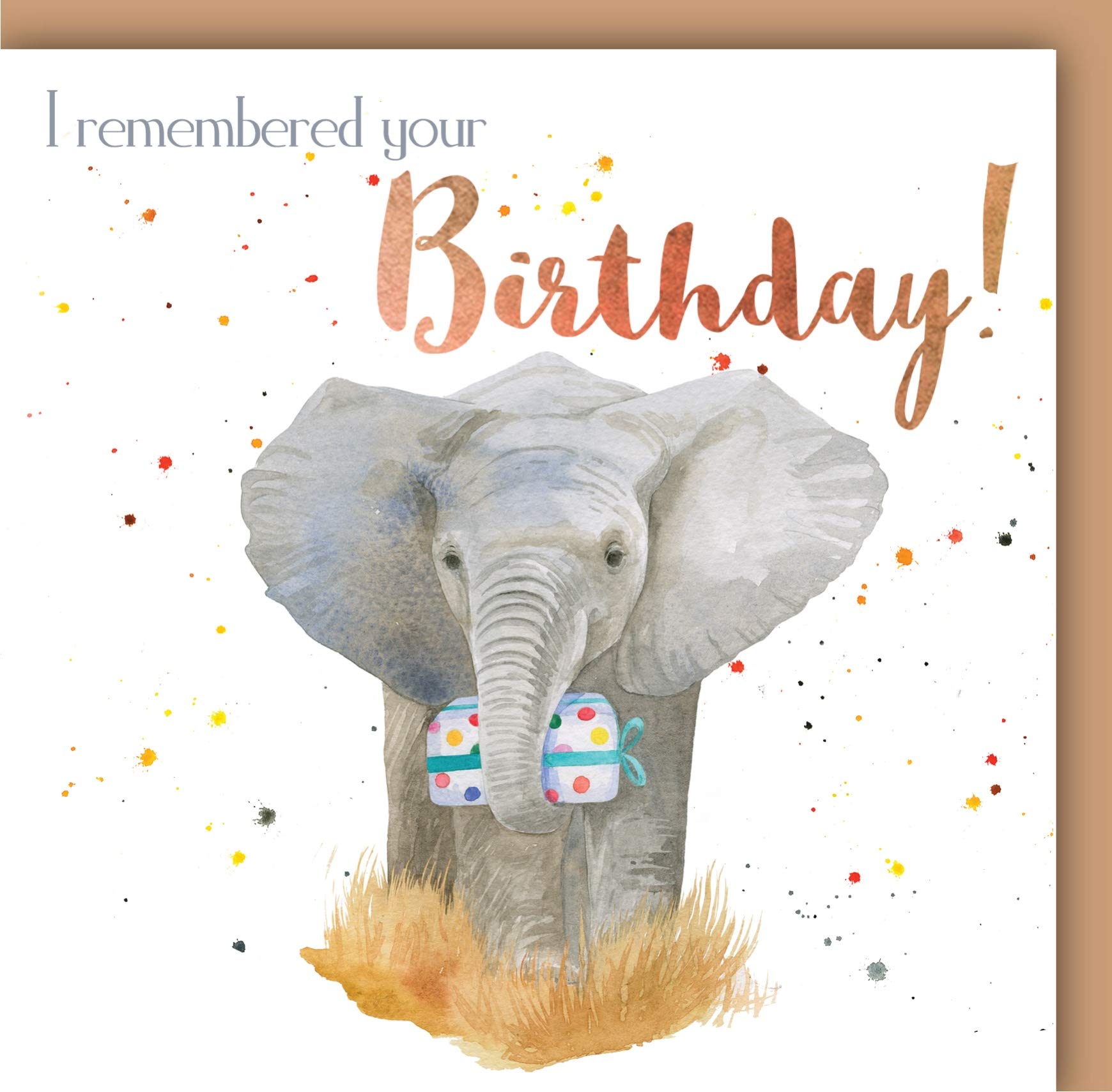 Elephant Quality Blank Birthday Card