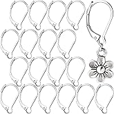 Alpinleux 20 Pcs Leverback Earring Hooks, Stainless Steel Clasp Hoop, Hypoallergenic Dangles Earring Hooks, French Ear Wire Findings for Women, DIY Crafts, Jewelry Making (Silver)