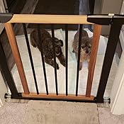 logan dog gate