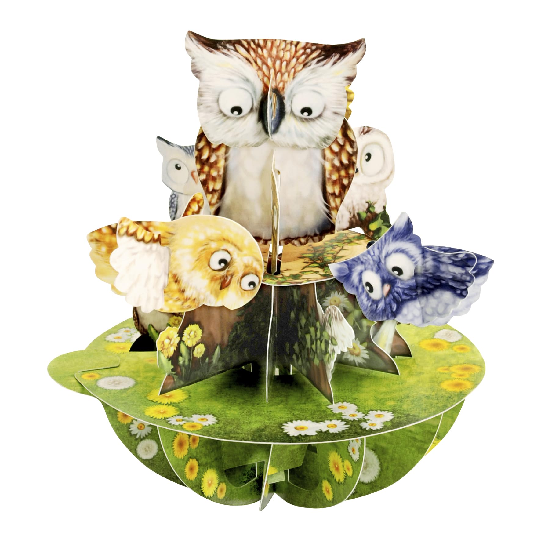 SANTORO Pirouette, 3D Pop Up Greeting Card - Owls - For Her, Him, Kids, Birthday, Graduation | Thank You Gifts For Teacher | Owl Pop Up Cards