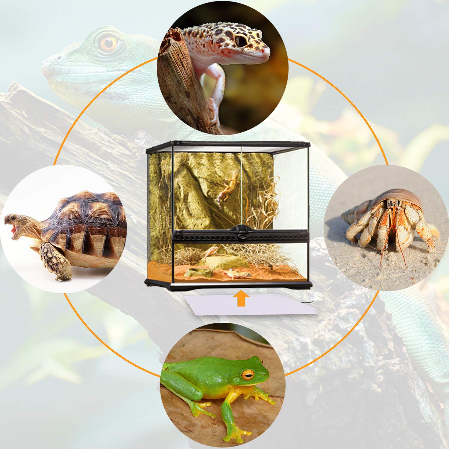 2 Pack Reptile Heating pad 8 Watt Terrarium Heater for Hermit Crab