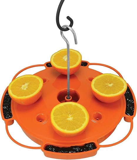 Amazon Com Songbird Essentials Se905 Ultimate Oriole Feeder Set