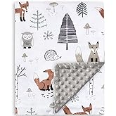 HOMRITAR Baby Blanket for Boys Girls Soft Plush Minky Blanket with Double Layer Dotted Backing for Toddler with Forest Foxes Multicolor Printed 30 x 40 Inch (75 x 100 cm)