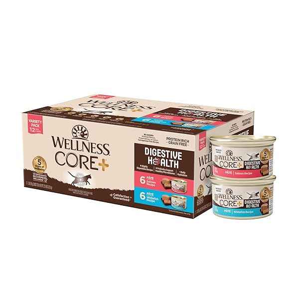 WELLNESS CORE+ DIGESTIVE HEALTH PATE ADULT WET CAT FOOD, NATURAL, PROTEIN-RICH, GRAIN FREE, 3 OUNCE, 12 PACK (SALMON & WHITEFISH VARIETY PACK)