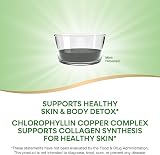 Nature's Way Chlorofresh Liquid Chlorophyll Internal Deodorant 16 fl oz view 2