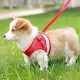 Anlitent Soft Mesh No Pull Cat Harness and Lead Set Red X-Small view 7