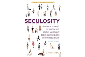 Seculosity: How Career, Parenting, Technology, Food, Politics, and Romance Became Our New Religion and What to Do about It (N