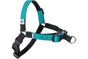 Wildebeest No Pull Dog Harness | Comfortable Training Harnesses | Effective No Pull Harness Design | Ideal for Medium Sized Dog | 4-Point Adjustable(M - 22~28 inch Girth, Turquoise)