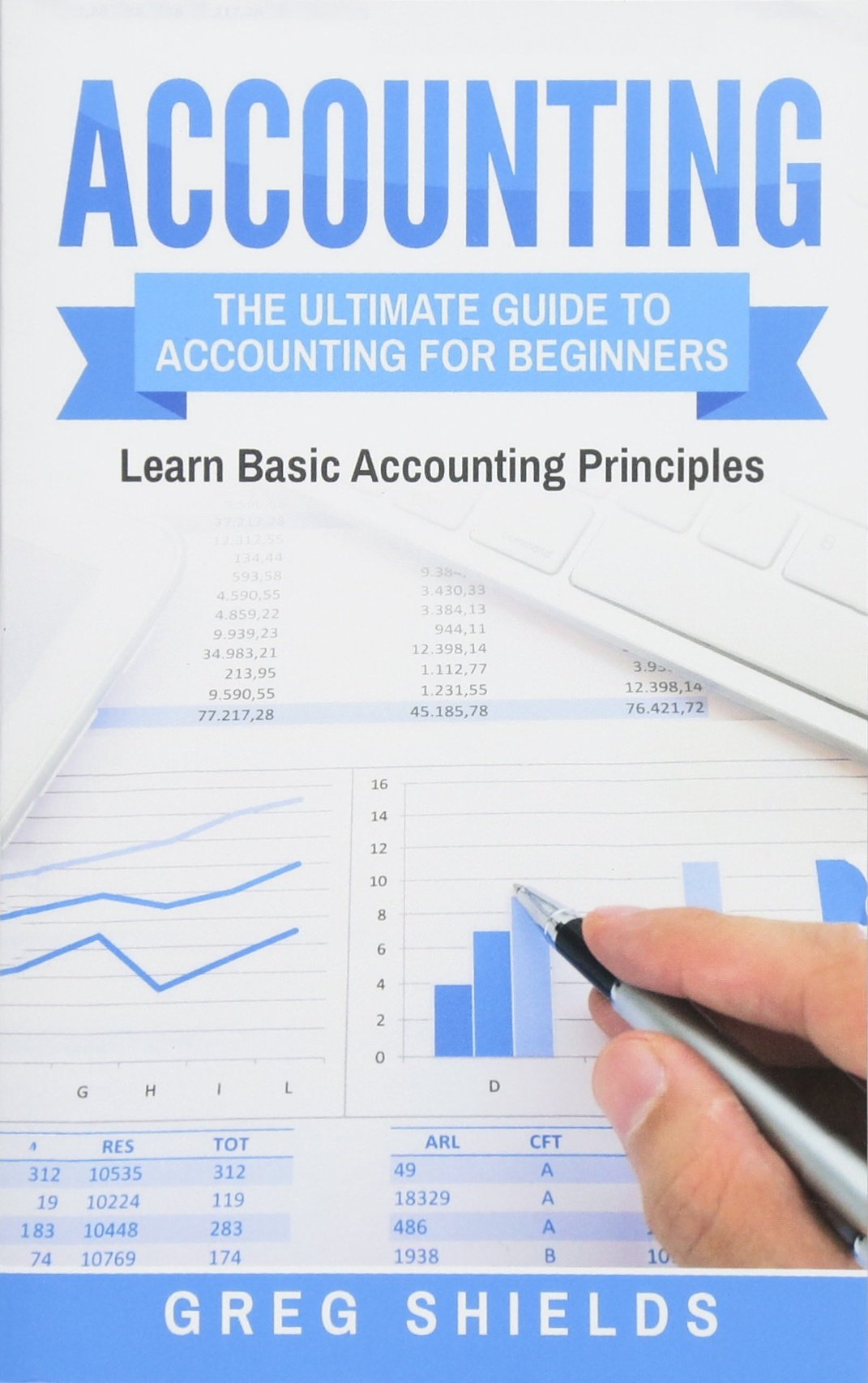  PDF Accounting The Ultimate Guide to Accounting for Beginners