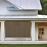 Amagenix Outdoor Roller Shades, Exterior Cordless Patio Shades Roll Up Outdoor Blinds for Porch Pergola Gazebo (4'W x6'H), Mo