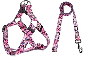 QQPETS Dog Harness Leash Set Adjustable Heavy Duty No Pull Halter Harnesses for Small Medium Large Breed Dogs Back Clip Anti-Twist Perfect for Walking