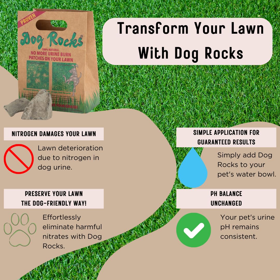 Dog Rocks Dog Pee Grass Neutralizer For Green Grass In 35 Weeks Dog Grass Saver Rock 100