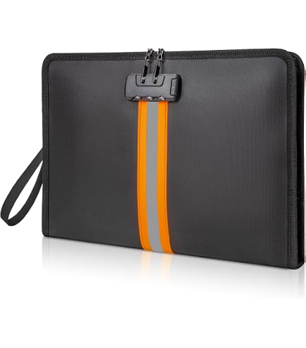 Amazon.com: NINITCH Fireproof Document Bag with Lock and Zipper