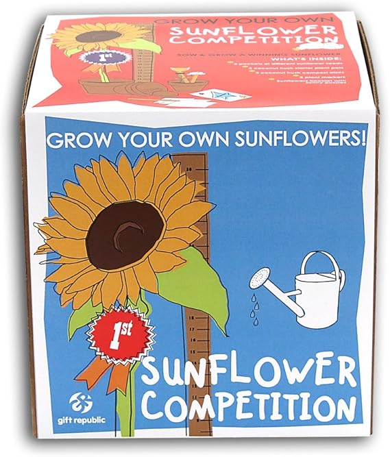 Sow And Grow Sunflower Competition Amazon.co.uk Garden & Outdoors