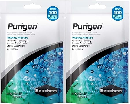 can dogs eat spare rib bones