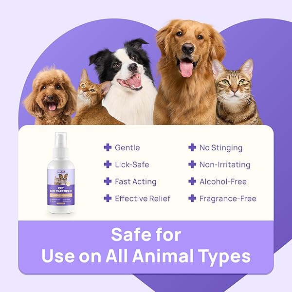 HICC PET HOT SPOT ITCH RELIEF SPRAY FOR DOGS, CATS – PET TREATMENT SPRAY FOR ITCHY, IRRITATED SKIN, ALLERGY, RASHES – LICK SAFE AND PAINLESS WOUND CARE SPRAY FOR ALL ANIMALS (3.4 FL OZ)