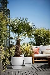 elho Greenville Round 30 Large Flower Pot with Integrated Water Reservoir view 6