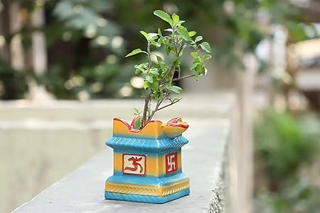 Lyallpur Stores Ceramic Mini Tulsi Planter Pot for Without Plant (Colour as Per Availability, Medium, Plant Not Included)