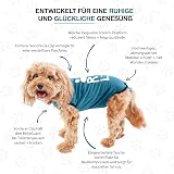 BellyGuard Dog Recovery Suit for Post Surgery Vests Cozy Onesie view 5