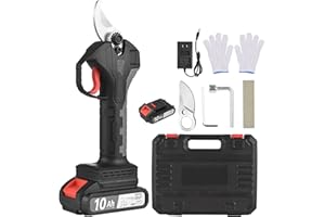 Weytoll Electric Pruning Shears, 21V Brushless Cordless Electric Pruning,with 21V 10000mAh Battery *2, SK5 Blades, 30mm (1.2inch) Cutting Diameter
