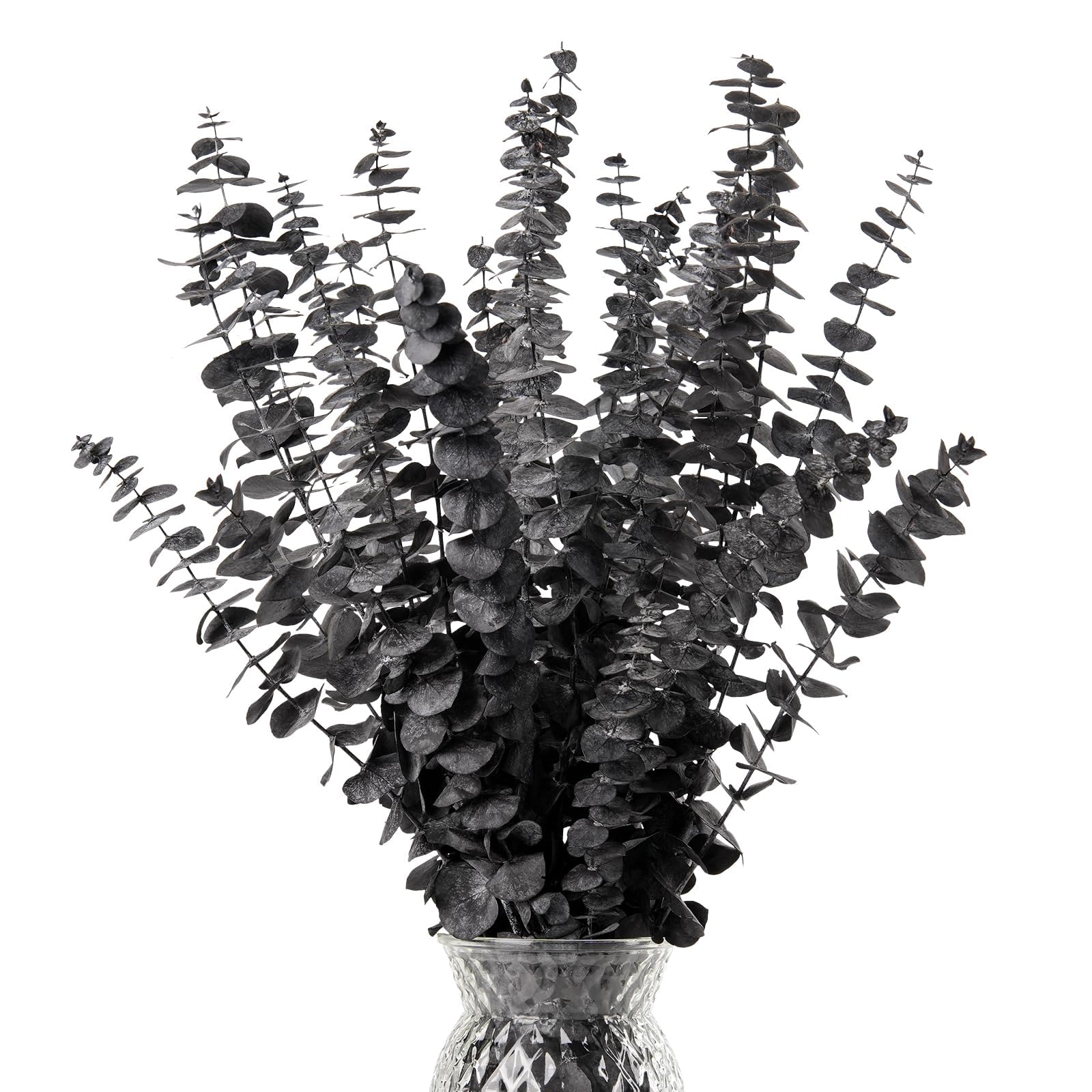 Photo 1 of HIAGROW Black Eucalyptus Stems Decor,20PCS 17" Real Dried Preserved Eucalyptus Stems Plant for Home Vase Wedding Festival Floral Fall Halloween Arrangement Decorations