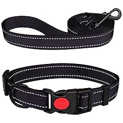 Reflective Dog Collar and Leash Set with Safety