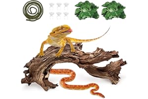 Hamiledyi Reptile Driftwood Branch Decor Terrarium Ornament Wood Climbing Natural Aquarium Driftwood Decoration for Snake Bearded Dragon Leapord Gecko Lizard Iguana