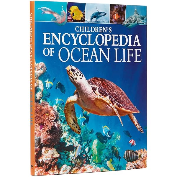 Red Sea Diver's Guide: Cohen, Shlomo: 9780932200006: Amazon.com: Books