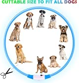 AUAUY LED Light Up Dog Collar Blue USB Rechargeable 70cm Reflective view 2