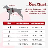 rabbitgoo Large Dog Harness No Pull Reflective Front Back Clip Adjustable XL Red view 2