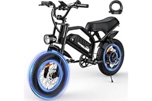 AVDLBIKE Electric Bike, 16'' Fat Tire E-Bike for Teens/Adults, 500W Small E-Bike with 36V/12.8Ah Removable Battery, Up to 22MPH, 45 Mile Range, Electric Dirt/Mountain Bike for Woman/Men A13