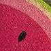 DII Colorful Design Natural Coir Doormat, 18x30, Watermelon