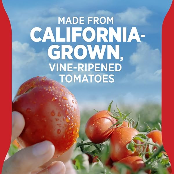 HUNT’S ALL NATURAL TOMATO KETCHUP, 38 OZ