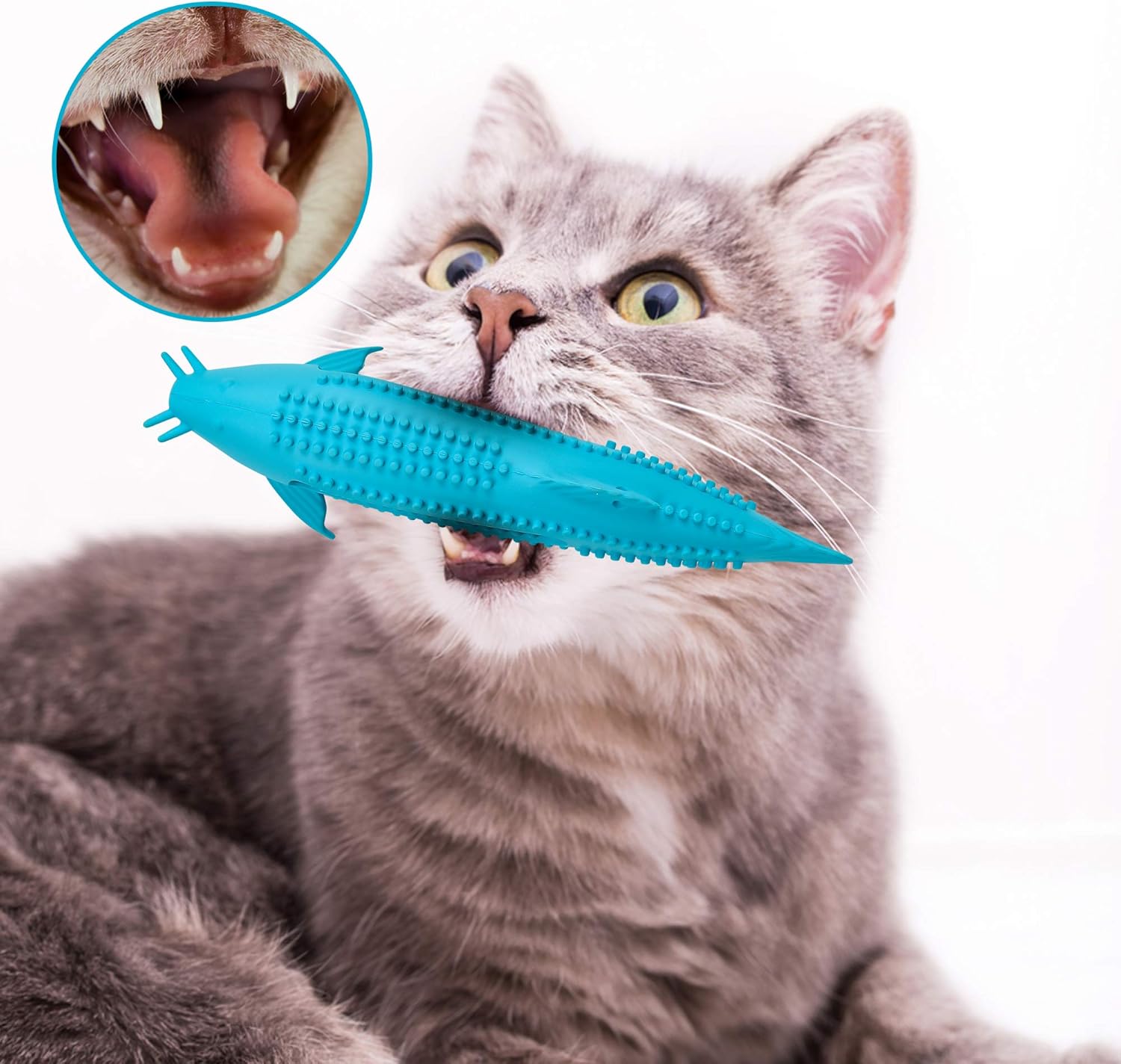 perfect teeth cat toy