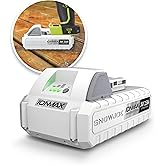 Snow Joe 24VBAT-LT IONMAX 24V Lithium-Ion Battery, Universal Battery-Management System, Manufacturer Original, Compatible with Auto Joe, Power Joe, and Sun Joe Products, 2.5Ah, Charger Not Included